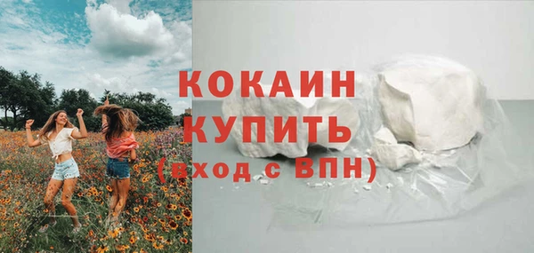 соль ск Арсеньев