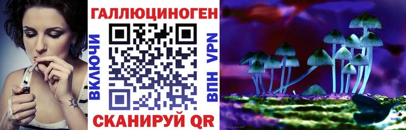 где продают   Похвистнево  Галлюциногенные грибы мицелий 