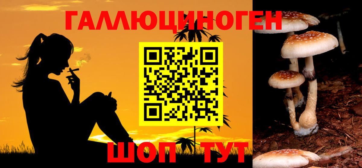 Галлюциногенные грибы Psilocybine cubensis  Галлюциногенные грибы MAGIC MUSHROOMS  Вход с VPN  Похвистнево 