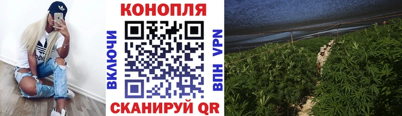 МАРИХУАНА гибрид Похвистнево