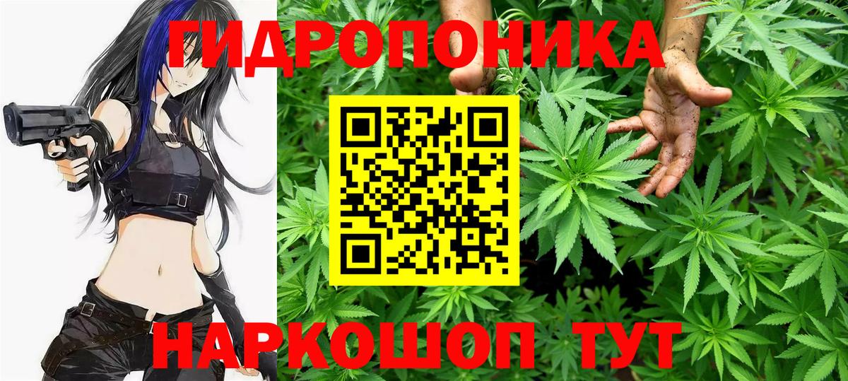 Бошки марихуана индика Похвистнево